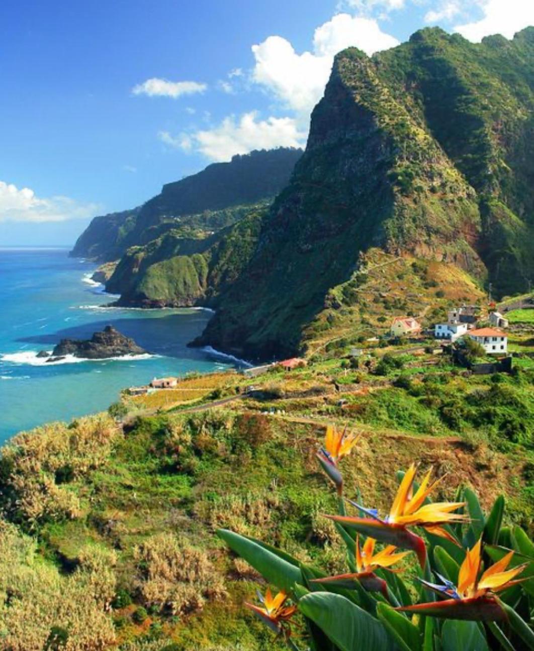 Pana House Apartment Calheta  Exterior photo