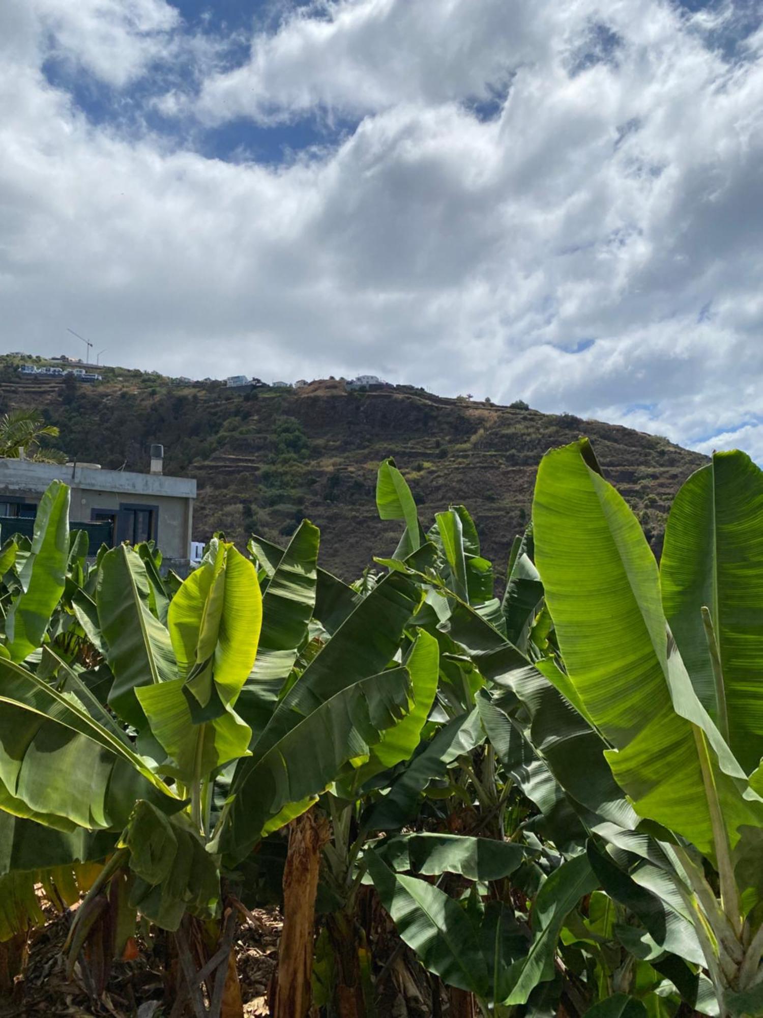 Pana House Apartment Calheta  Exterior photo
