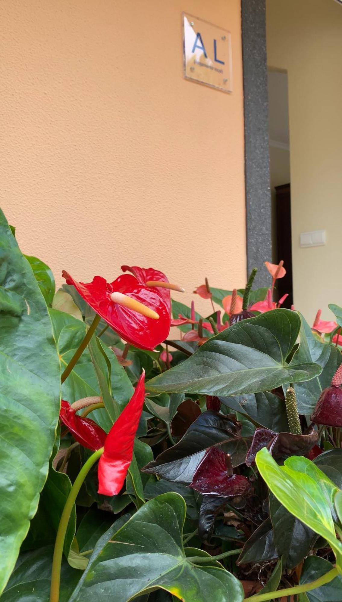 Pana House Apartment Calheta  Exterior photo